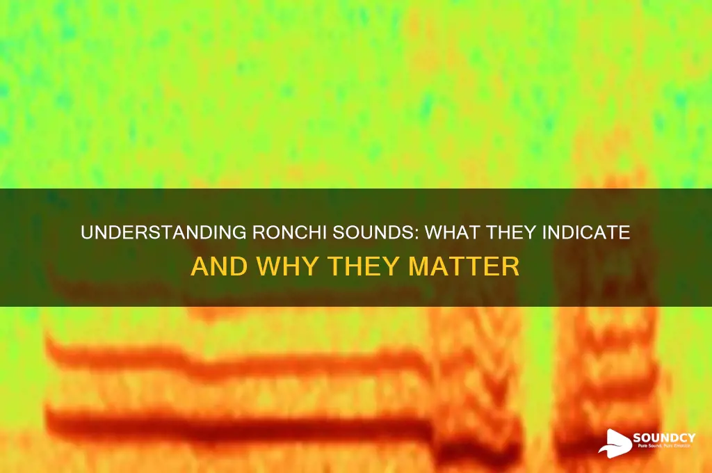 what is ronchi sounds indicate