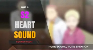 Understanding S2 Heart Sound: Causes, Characteristics, and Clinical Significance