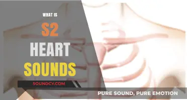 Understanding S2 Heart Sounds: Causes, Significance, and Clinical Importance