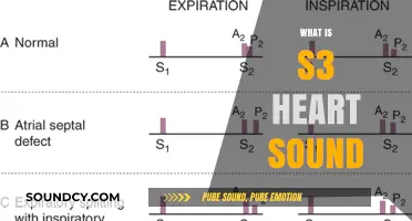 Understanding the S3 Heart Sound: Causes, Symptoms, and Diagnosis