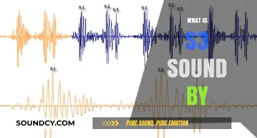 Understanding S3 Sound: Causes, Diagnosis, and Clinical Significance Explained
