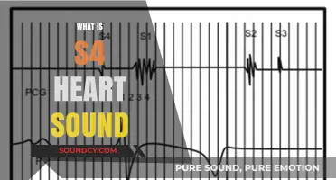 Understanding the S4 Heart Sound: Causes, Symptoms, and Diagnosis Explained