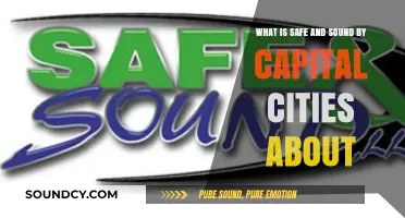 Safe and Sound by Capital Cities: Decoding the Meaning Behind the Hit