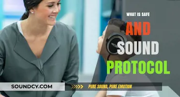 Safe and Sound Protocol: A Revolutionary Therapy