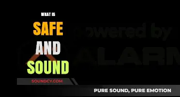 Understanding Safe and Sound: A Comprehensive Guide to Security and Peace
