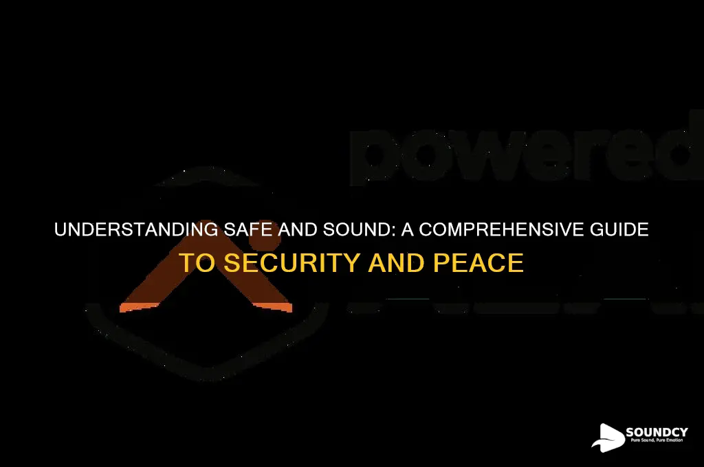 what is safe and sound