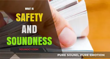 Understanding Safety and Soundness: Key Principles for Financial Stability