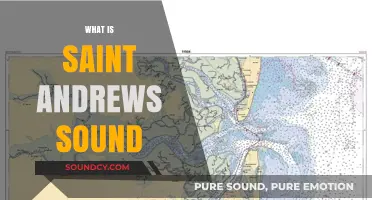 Exploring Saint Andrews Sound: A Coastal Gem and Its Secrets