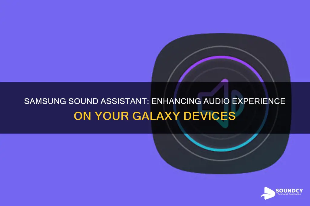 what is samsung sound assistant