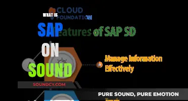 Understanding SAP on Sound: A Comprehensive Guide to Its Functionality