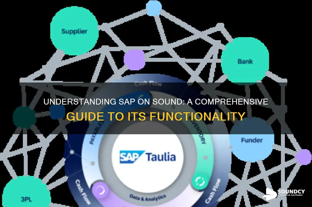 what is sap on sound