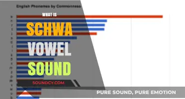 Understanding the Schwa: The Most Common Vowel Sound in English