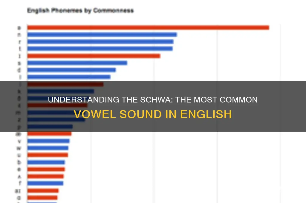 what is schwa vowel sound