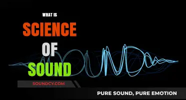 Exploring the Science of Sound: Waves, Perception, and Beyond