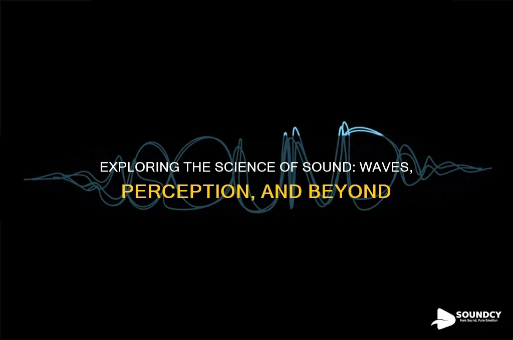 what is science of sound
