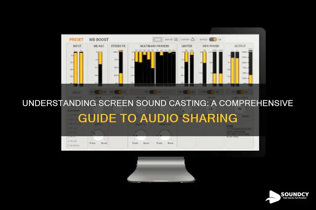 what is screen sound casting