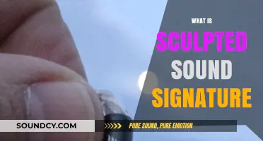 Understanding the Art of Sculpted Sound Signature in Audio Technology