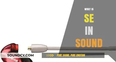 Understanding SE in Sound: Definition, Importance, and Practical Applications