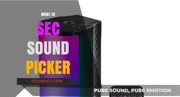 Understanding SEC Sound Picker: A Comprehensive Guide to Its Features