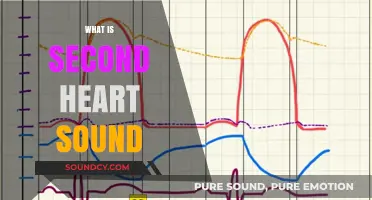 Understanding the Second Heart Sound: A Comprehensive Guide