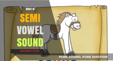 Understanding Semi-Vowel Sounds: Definition, Examples, and Role in Phonetics