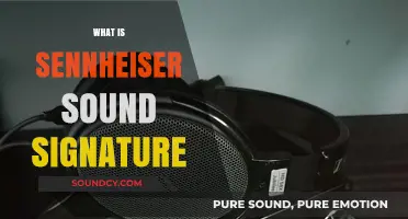 Understanding Sennheiser's Unique Sound Signature: A Comprehensive Audio Guide