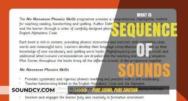 Understanding the Sequence of Sounds: A Comprehensive Guide to Phonetics