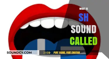 Understanding the Sh Sound: Its Name, Pronunciation, and Linguistic Role