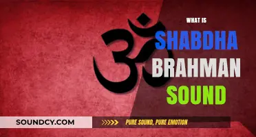 Understanding Shabdha Brahman: The Divine Sound of Creation Explained