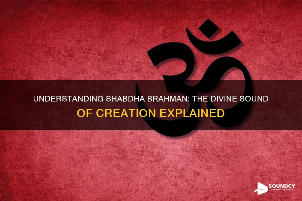 what is shabdha brahman sound