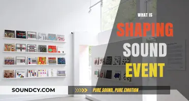 Exploring the Art and Science of Shaping Sound Events
