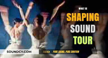 Exploring the Shaping Sound Tour: A Musical Journey and Experience