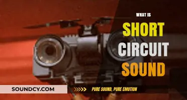 Understanding the Distinctive Sound of a Short Circuit: Causes and Effects