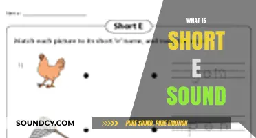 Understanding the Short E Sound: A Beginner's Guide to Phonics