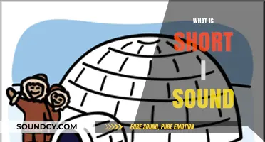Understanding the Short I Sound: A Beginner's Guide to Phonics