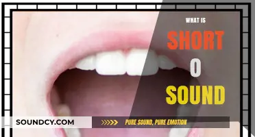 Mastering the Short O Sound: A Beginner's Guide to Phonics