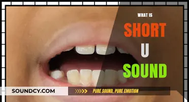 Understanding the Short U Sound: Phonics Basics for Early Readers