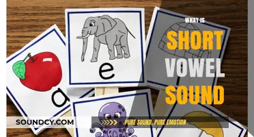 Understanding Short Vowel Sounds: A Beginner's Guide to Pronunciation Basics