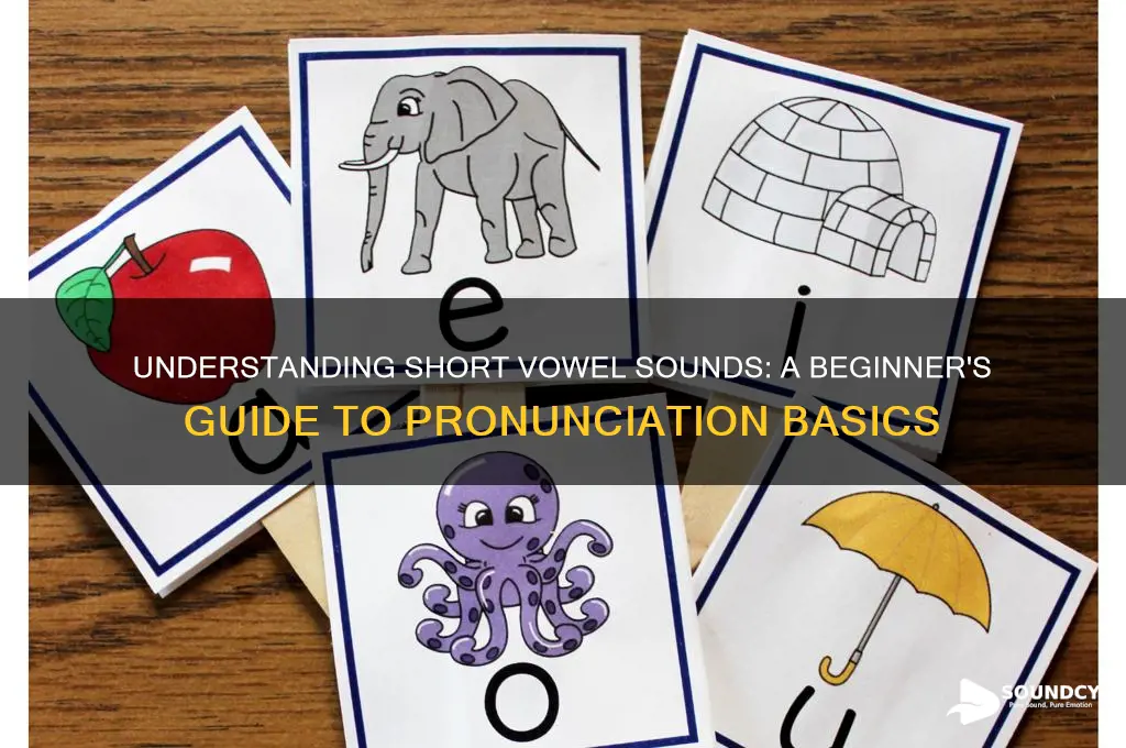 what is short vowel sound