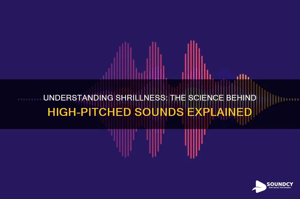 what is shrillness of sound