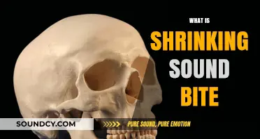 Understanding the Shrinking Sound Bite: Media, Attention Spans, and Communication