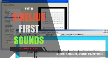 Exploring Sibelius First Sounds: A Beginner's Guide to Music Notation