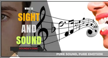 Exploring the Intricate Relationship Between Sight and Sound Perception