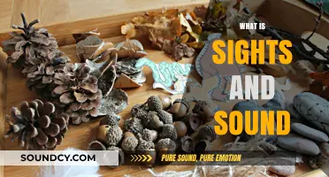Exploring the World Through Sights and Sounds: A Sensory Journey