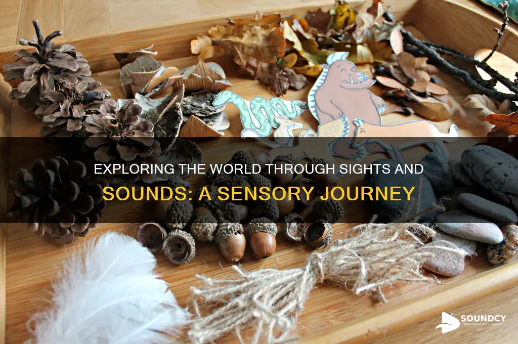 what is sights and sound
