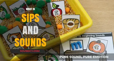 Exploring Sips and Sounds: A Sensory Journey Through Drinks and Music