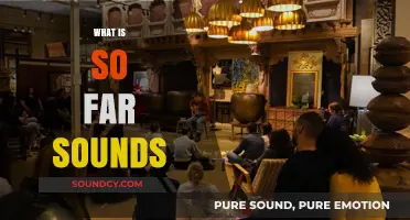 Exploring So Far Sounds: A Unique Musical Community and Movement