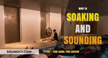 Exploring Soaking and Sounding: Understanding These Unique Wellness Practices