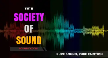 Exploring the Society of Sound: A Community of Audio Enthusiasts