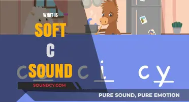 Understanding the Soft C Sound: A Comprehensive Guide to Pronunciation